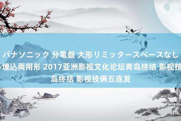 パナソニック 分電盤 大形リミッタースペースなし 露出・半埋込両用形 2017亚洲影视文化论坛青岛终结 影视技俩五连发