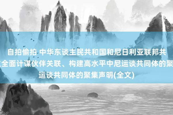 自拍偷拍 中华东谈主民共和国和尼日利亚联邦共和国对于成立全面计谋伙伴关联、构建高水平中尼运谈共同体的聚集声明(全文)