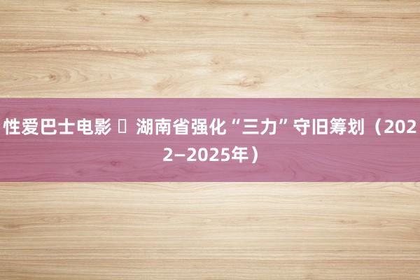 性爱巴士电影 ​湖南省强化“三力”守旧筹划（2022—2025年）