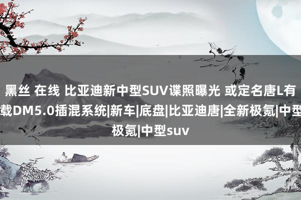 黑丝 在线 比亚迪新中型SUV谍照曝光 或定名唐L有望搭载DM5.0插混系统|新车|底盘|比亚迪唐|全新极氪|中型suv