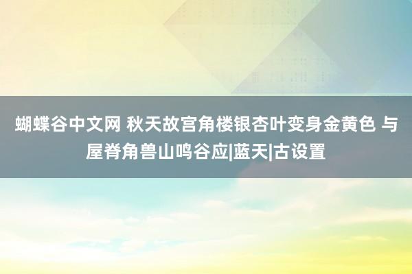 蝴蝶谷中文网 秋天故宫角楼银杏叶变身金黄色 与屋脊角兽山鸣谷应|蓝天|古设置