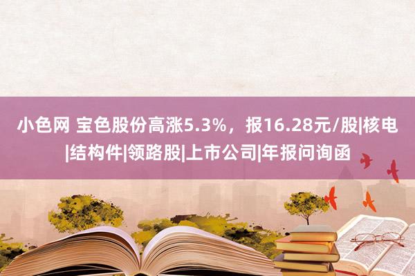 小色网 宝色股份高涨5.3%，报16.28元/股|核电|结构件|领路股|上市公司|年报问询函