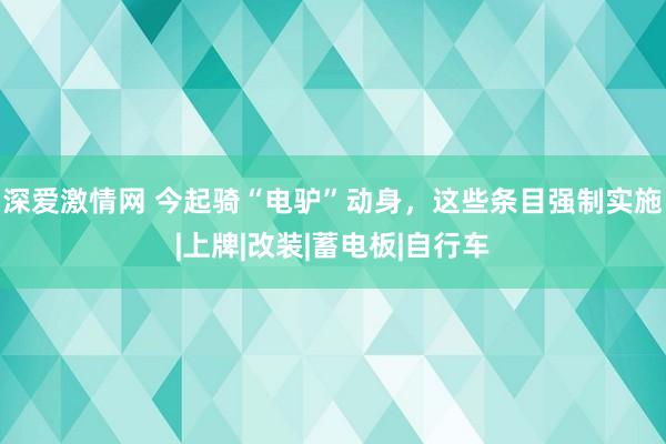 深爱激情网 今起骑“电驴”动身，这些条目强制实施|上牌|改装|蓄电板|自行车