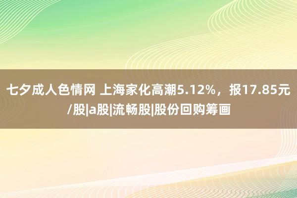 七夕成人色情网 上海家化高潮5.12%，报17.85元/股|a股|流畅股|股份回购筹画