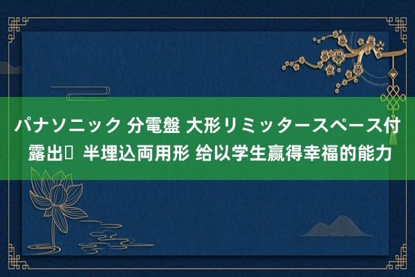 パナソニック 分電盤 大形リミッタースペース付 露出・半埋込両用形 给以学生赢得幸福的能力