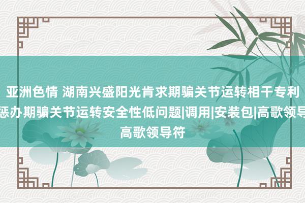 亚洲色情 湖南兴盛阳光肯求期骗关节运转相干专利，惩办期骗关节运转安全性低问题|调用|安装包|高歌领导符